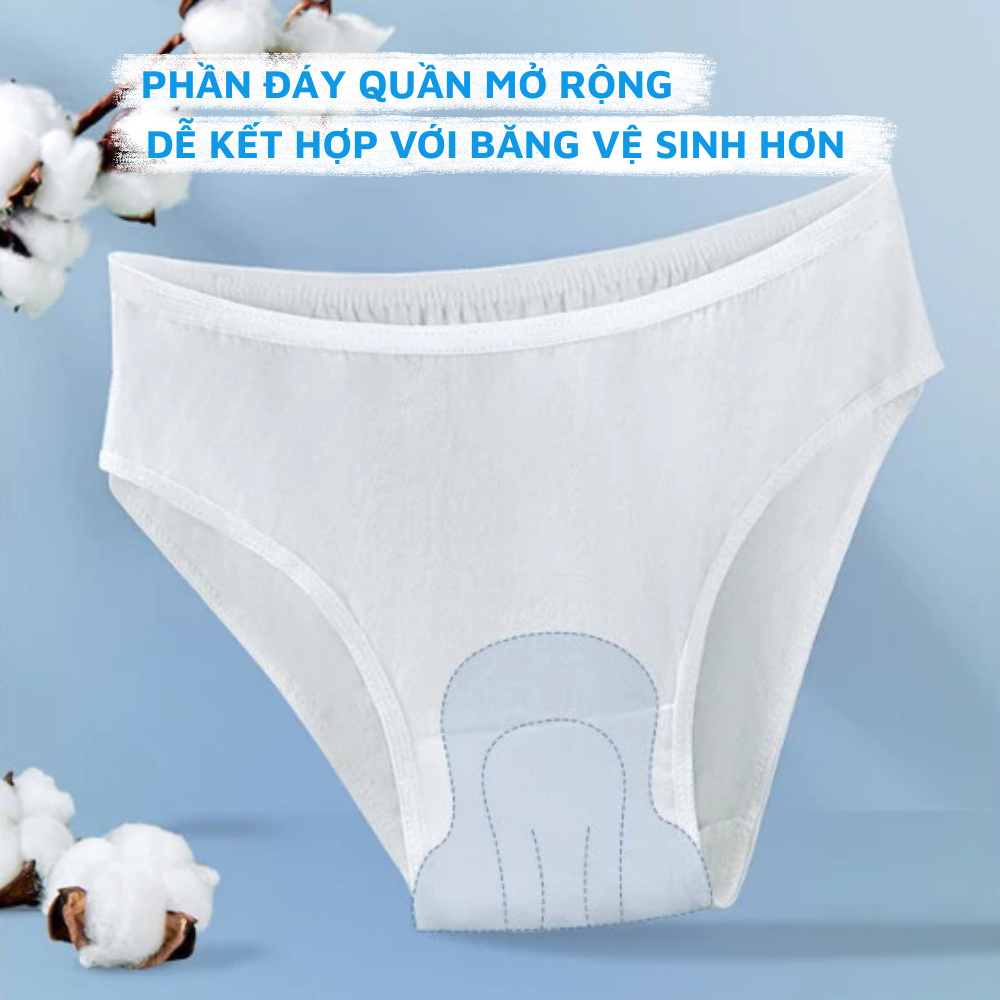 Set 5 Quần Lót Nữ Dùng 1 Lần Tiện Lợi, Quần Lót Cotton Đóng Túi Zip Kháng Khuẩn ZANABRA