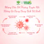 Dung Dịch Vệ Sinh ROSE GARDEN Hộp 150ml MỘC AN Thành Phần Lá Trầu Không, Nha Đam, Tía Tô, Bạc Hà