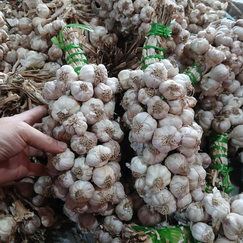 Tỏi Khô Kết Chùm Kinh Môn Hải Dương 0,5kg Hàng Loại 1 Không Chất Bảo Quản