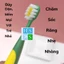 SET 2 BÀN CHẢI SUKA TRẺ EM CAO CẤP, LÔNG MỀM MỊN DÀNH CHO BÉ, THIẾT KẾ TAY TRÁI TAY PHẢI, Bàn Chải Đánh Răng