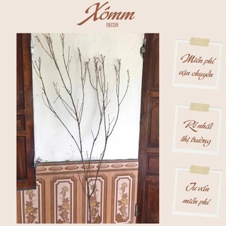Nhánh cây khô decor trang trí, cành cây khô nhiều nhánh, cây mai đào giả trang trí tết