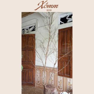 Nhánh cây khô decor trang trí, cành cây khô nhiều nhánh, cây mai đào giả trang trí tết