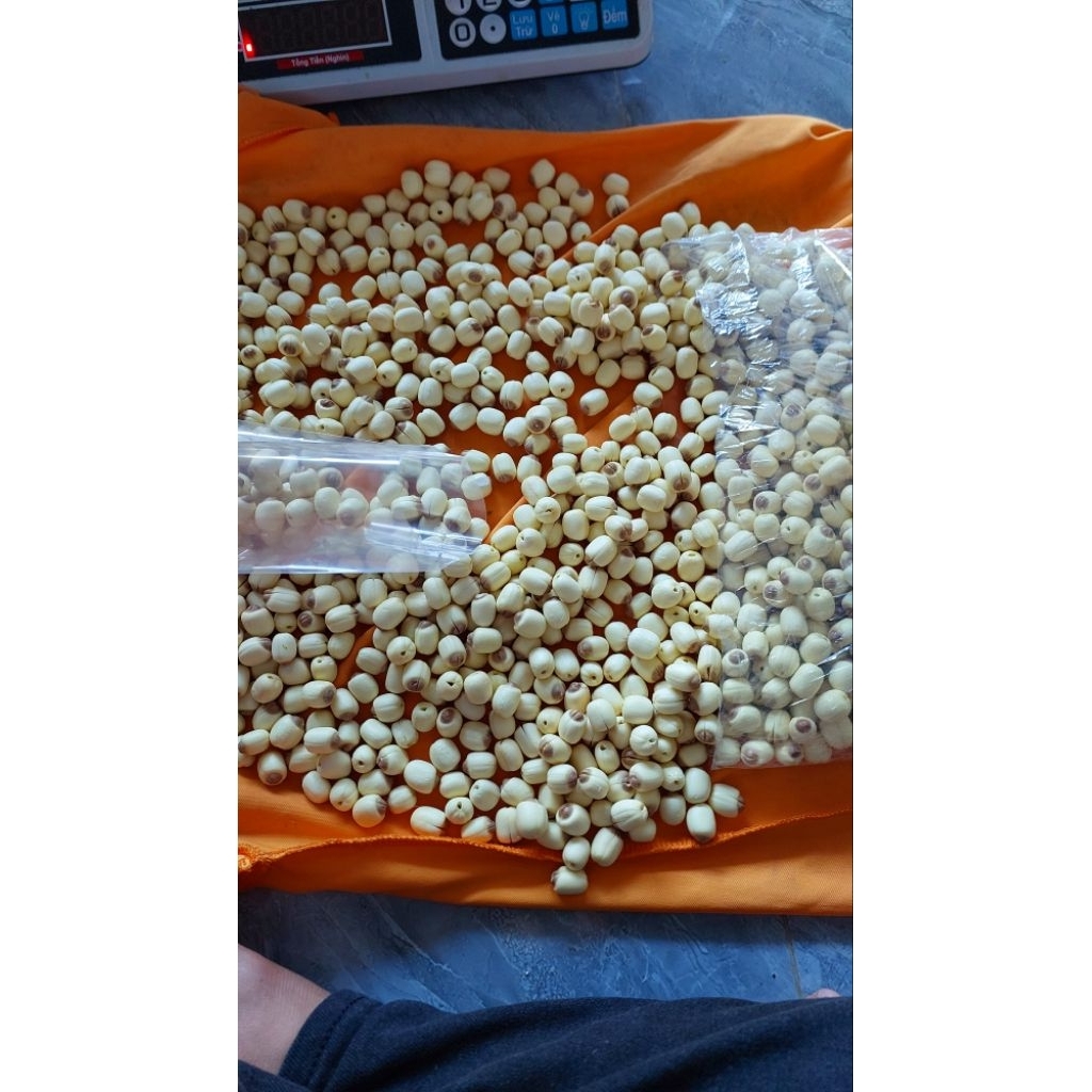 Hạt Sen Tươi bịch 500gr