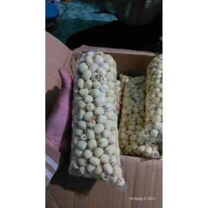 Hạt Sen Tươi bịch 500gr