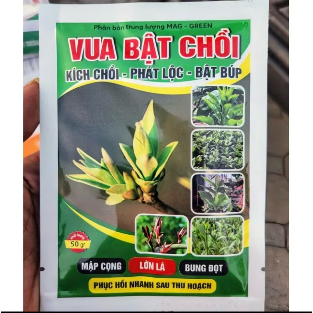 Combo Thần Tốc Ra Rễ- Bật Chồi Và Phục Hồi Siêu Tốc Cho Cây Trồng ( gồm 3 sp Bật Chồi + Kích Rễ+ Trị Nấm )