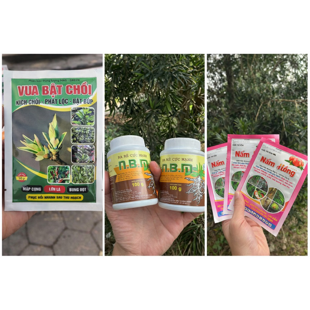 Combo Thần Tốc Ra Rễ- Bật Chồi Và Phục Hồi Siêu Tốc Cho Cây Trồng ( gồm 3 sp Bật Chồi + Kích Rễ+ Trị Nấm )