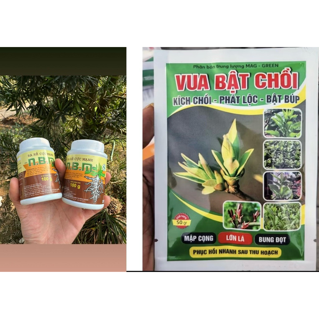 Combo Ra Rễ Mạnh Và Bật Chồi Mạnh Cho Cây Trồng ( gồm 2 kích rễ n3m+ 2 gói bật chồi )