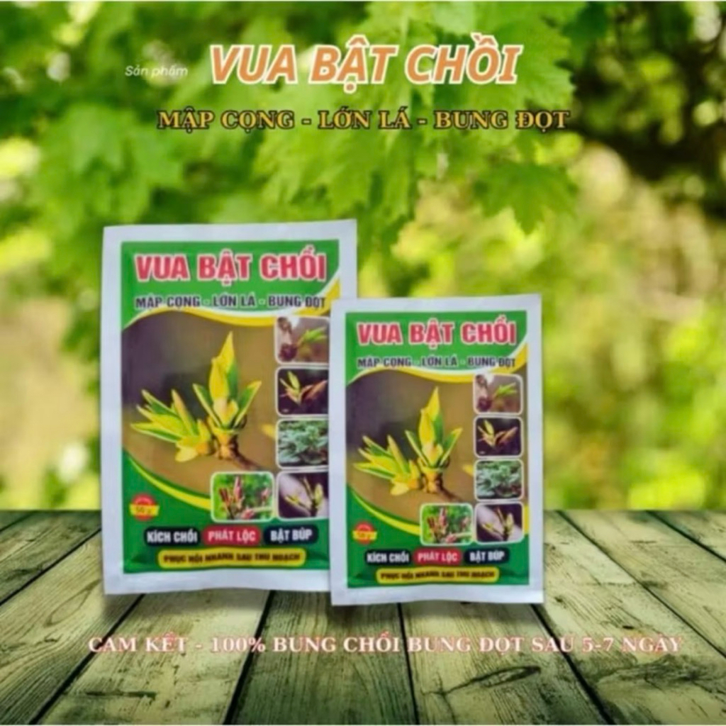 Combo Ra Rễ Mạnh Và Bật Chồi Mạnh Cho Cây Trồng ( gồm 2 kích rễ n3m+ 2 gói bật chồi )