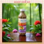 Mắm Nêm Bà Duệ loại đặc biệt 330ML💕 Đặc sản Huế 💕