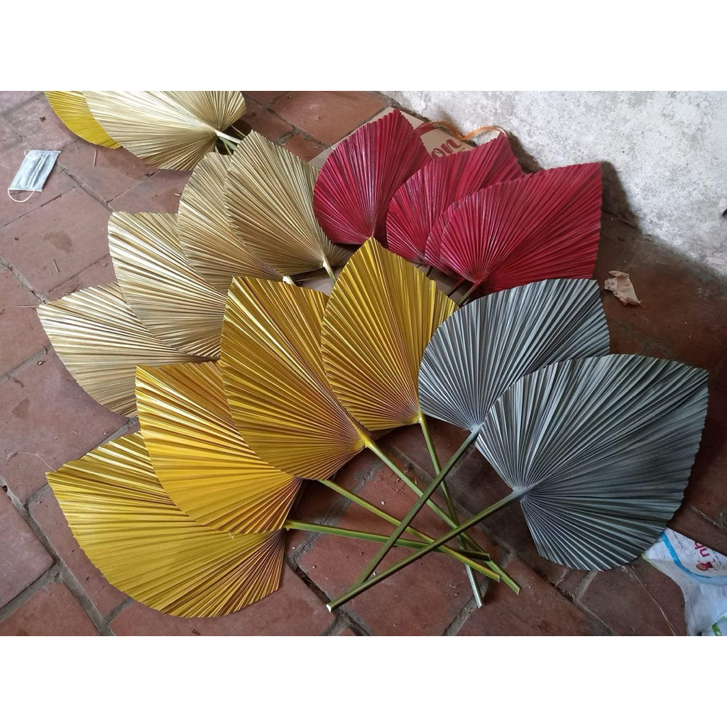 combo 5 lá cọ màu đỏ tươi khách trang trí decor