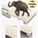 Giường sofa gấp gọn thành ghế đa năng,sofa giường thông minh gấp gọn thành ghế chất liệu khung sắt chịu lực có hộc để đồ — ảnh 5
