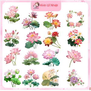 Hình ủi nhiệt in áo mẫu hoa lá ủi áo tại nhà bằng bàn là bàn ủi,nhiều mẫu nhiều size