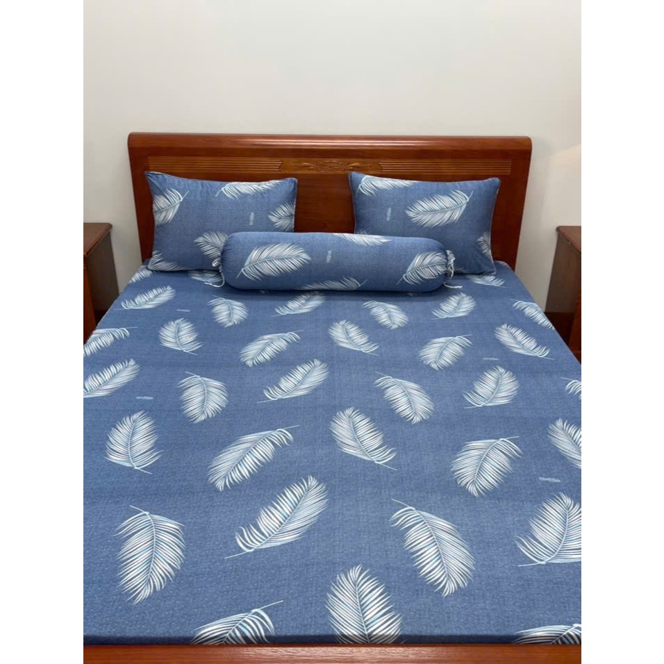 Bộ ga giường thun lạnh thun silk họa tiết nhiều màu 4 món ga áo gối co giãn cao cấp nằm thoáng khí