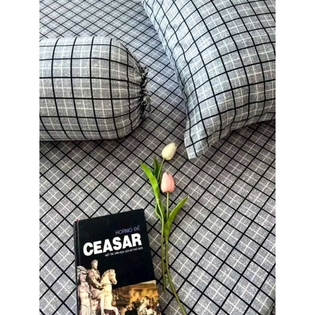 Bộ ga giường thun lạnh thun silk họa tiết nhiều màu 4 món ga áo gối co giãn cao cấp nằm thoáng khí