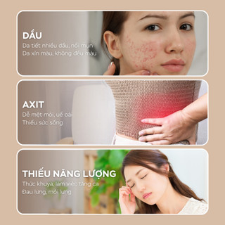Máy xông ngải cứu trị liệu cầm tay cho mặt và body bằng đá bianstone cao cấp 2026, tặng 12 viên ngải cứu + dầu ngải cứu