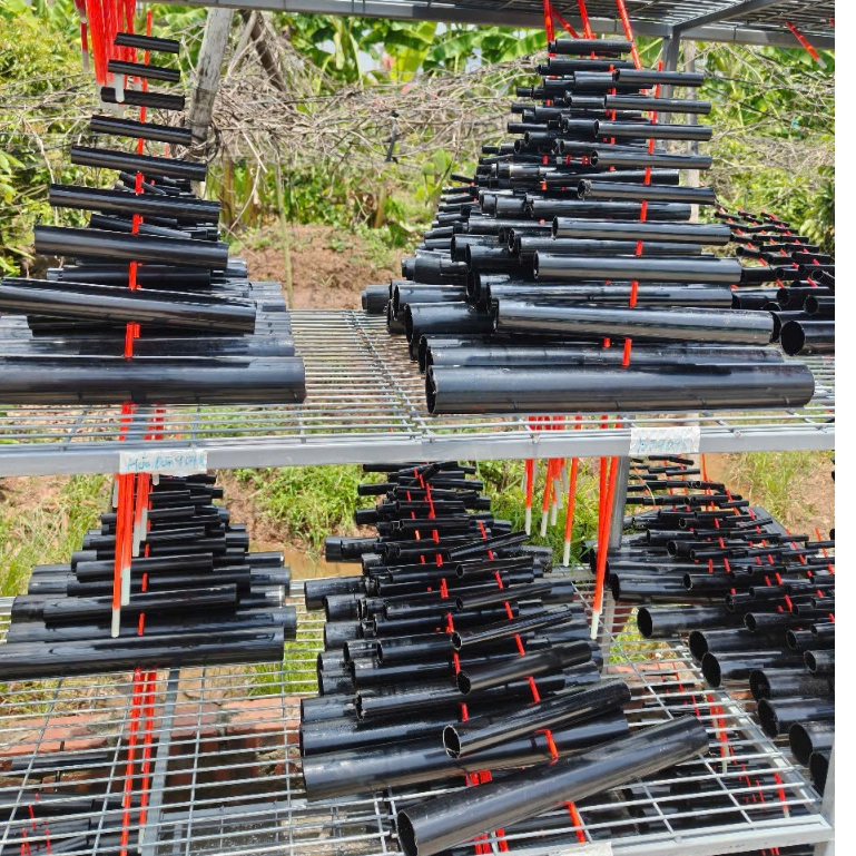 ỐNG SÁO NHỰA khoan sẵn d21-d60 SIÊU NHẸ SIÊU BỀN