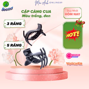 Kẹp tóc NOVSET Kẹp tóc càng cua 3 răng và 5 răng , phong cách hàn quốc [set 12cái ]