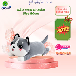 Gấu mèo bi xám, Gấu mèo Alaska 45cm đáng yêu, thú nhồi bông mềm mịn [freeship]