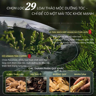Xà phòng gội đầu,phần thảo mộc lá bách,thảo dược chính hãng giảm gàu ngăn ngừa rụng tóc dưỡng tóc chắc khỏe