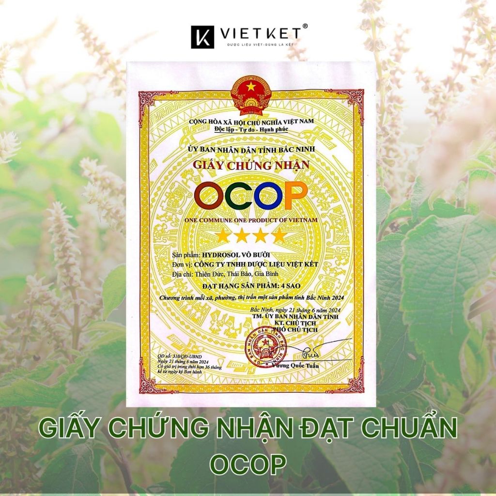 Xịt Hỗ Trợ Mọc Tóc Tinh Dầu Vỏ Bưởi VIETKET 100ml - Hỗ Trợ Mọc Tóc, Giảm Rụng Tóc, Nuôi Dưỡng Chân Tóc, Nguyên Chất