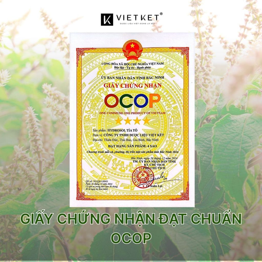Xịt dưỡng da Thảo Dược Tía Tô VIETKET 100ml - Cấp nước, duy trì độ ẩm, Giảm mụn, giảm viêm, Sáng da, Nguyên Chất