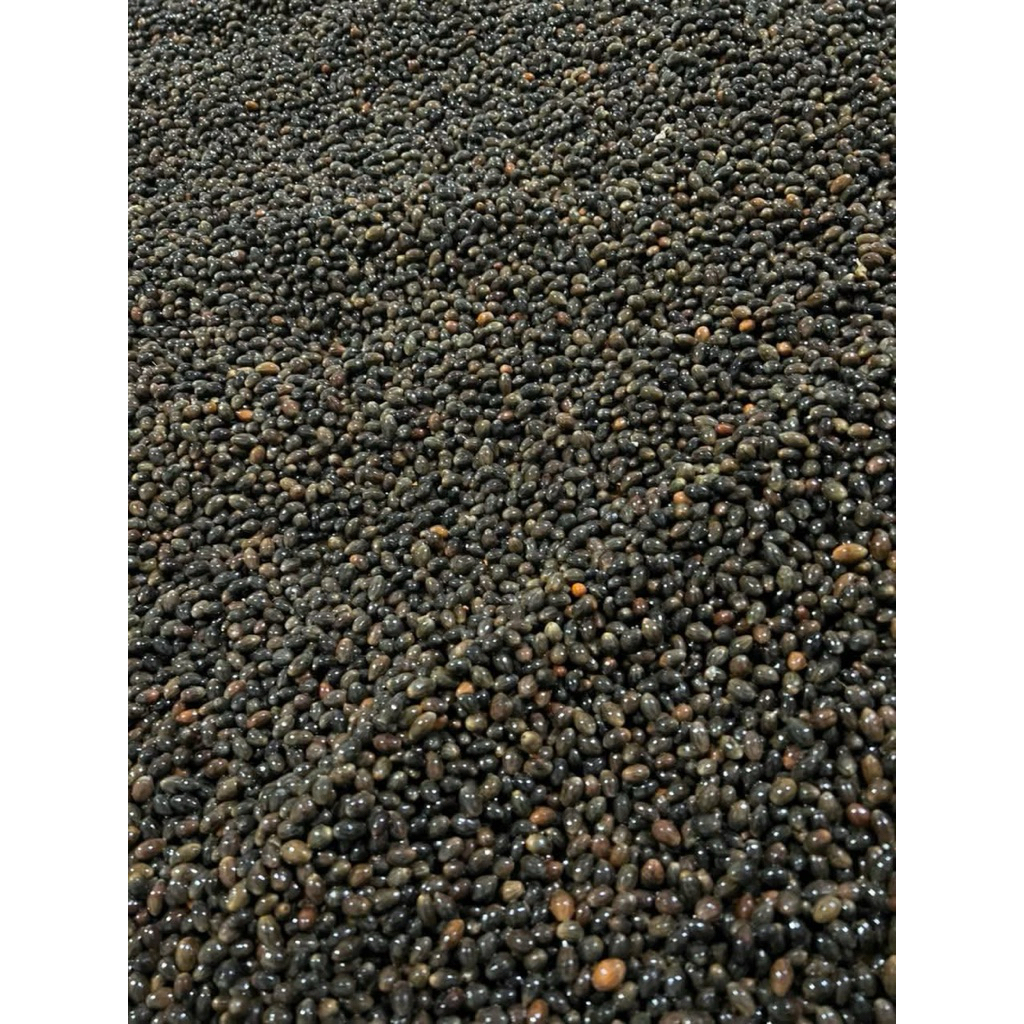 Hạt quế (500g)