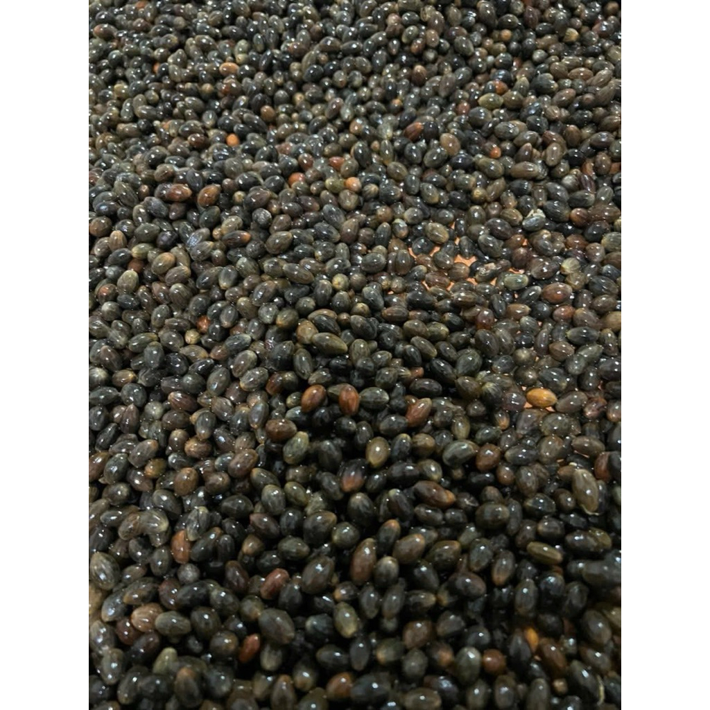 Hạt quế (500g)