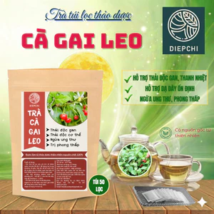 Trà cà gai leo túi lọc - Thanh nhiệt, mát gan, thải độc, hỗ trợ xương khớp -DIỆP CHI- túi 50 lọc