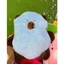 GỐI ĐI XE MÁY CAPYBARA GỐI KÊ XE MÁY CHO BÉ HÌNH CAPYBARA DỄ THƯƠNG