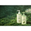 Combo 3 Dầu Gội Thảo Mộc Bồ Kết – Bưởi & 3 Dầu Xả Hương Dừa 430ml – Sạch Gàu, Giảm Rụng Tóc, Tóc Mềm Mượt Không Bết