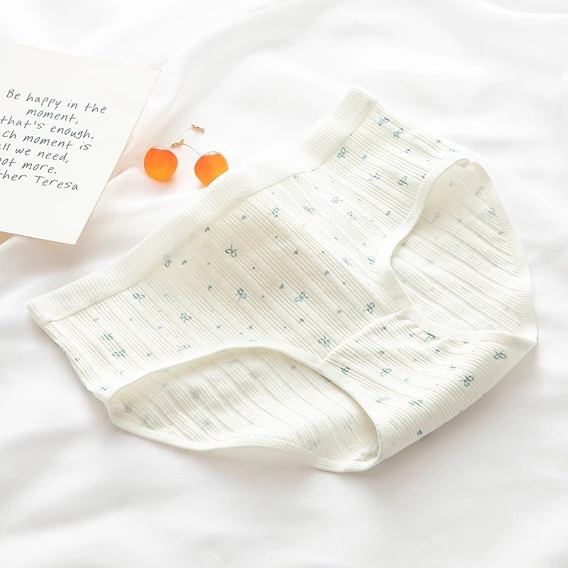 [Peinn] Set 10 Quần Lót Nữ Cotton Cute  Quần Chip Trái Cam Gân Tăm Chống Nhăn, Thấm Hút Mồ Hôi Siêu Co Giãn QLC16