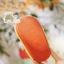 DÉP BÔNG FRUIT CHO BÉ – DÉP ĐI TRONG NHÀ CHỐNG TRƠN TRƯỢT, MỀM ÊM & GIỮ ẤM