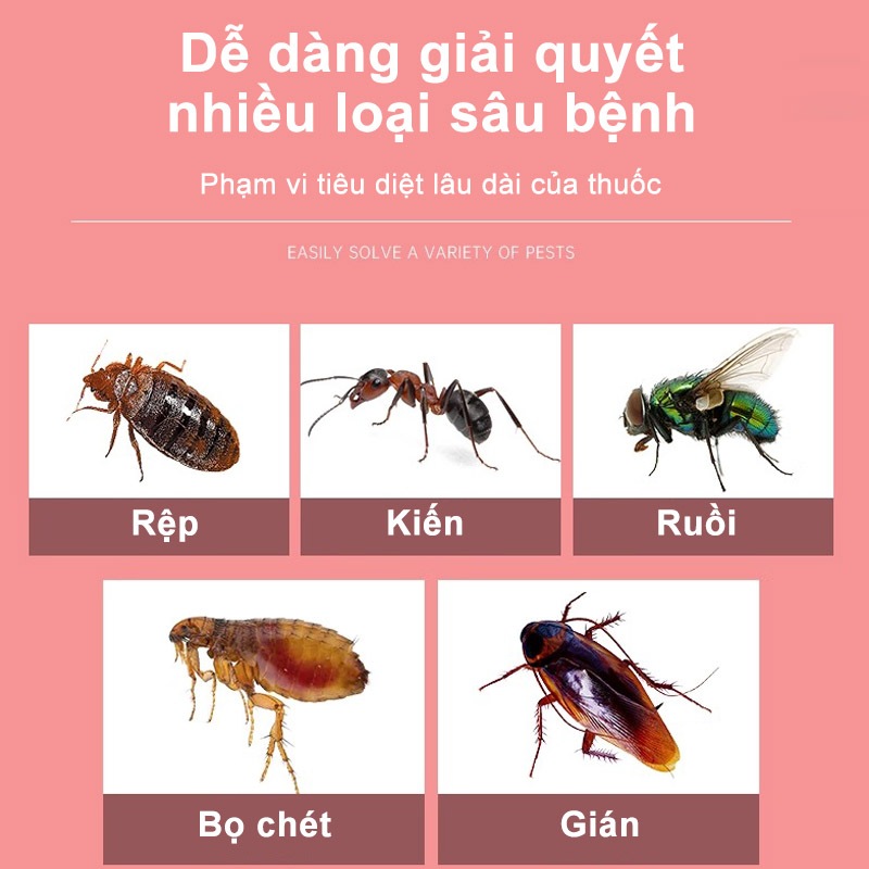 Chai xịt diệt kiến diệt gián, đuổi và diệt côn trùng hiệu quả, Diệt kiến, gián, ruồi, muỗi an toàn hiệu quả, nhiều hươn