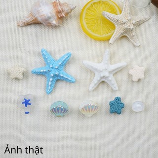 Set 9 Sticker, Charm 3D chủ đề Sao biển xanh lớn gắn Dép Sục, Cá Sấu JB-338 Mita