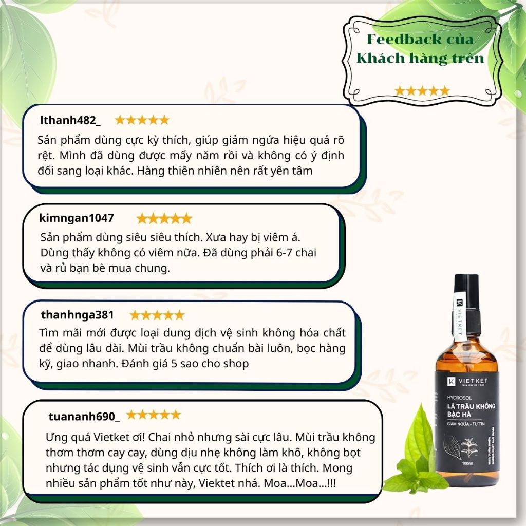 Dung Dịch Vệ Sinh Phụ Nữ Trầu Không Bạc Hà - KHÔNG BỌT VIETKET 100ml - Vệ Sinh Sạch, Giảm Nấm Ngứa, Đậm Đặc, Nguyên Chất