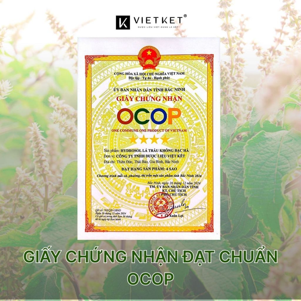 Dung Dịch Vệ Sinh Phụ Nữ Trầu Không Bạc Hà - KHÔNG BỌT VIETKET 100ml - Vệ Sinh Sạch, Giảm Nấm Ngứa, Đậm Đặc, Nguyên Chất