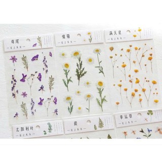 6 Bảng sticker trong suốt hình hoa lá trang trí, QNshop nguyên liệu handmade