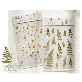 6 Bảng sticker trong suốt hình hoa lá trang trí, QNshop nguyên liệu handmade