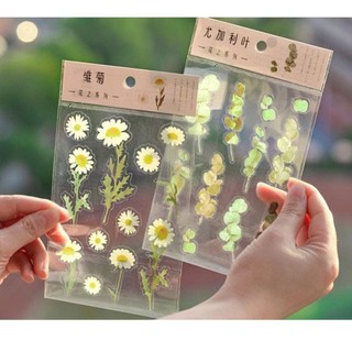 6 Bảng sticker trong suốt hình hoa lá trang trí, QNshop nguyên liệu handmade