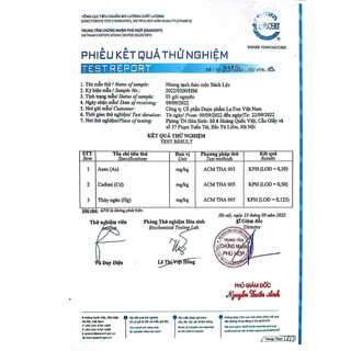 Hương Bài Sạch Bách Lộc 38cm (50 Nén) – Rễ Bài Già Nguyên Chất, Chân Mộc Tự Nhiên, Dùng Cho Ban Thờ Lớn