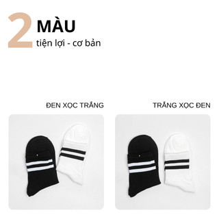 Tất Vớ Nữ Cổ Trung Sọc Kẻ Basic SOIN Thoáng Khí Mềm Mại Thấm Hút