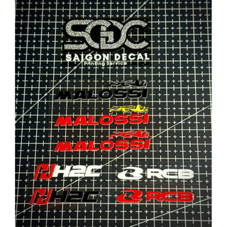 Tem Sticker DTF Dán Trang Trí Biển Số Xe - 3 Mẫu Chữ |SGDC - 1 Tem/Cặp|