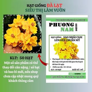 0,5 Gram - Hạt Giống Hoa Sao Nhái Cánh Bướm Vàng Lùn Kép Chuân Mỹ Phương Nam