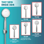 Củ Sen Nóng Lạnh Inox 304 Đúc Nguyên Khối Mạ Mờ | CR-118 | Phối Vòi Sen Nhà Tắm Và Cài Treo Cùng Màu — ảnh 6