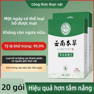 Túi thơm đuổi bọ rệp ve chấy mạt bụi gây ngứa trên giường ga gối ghế sofa