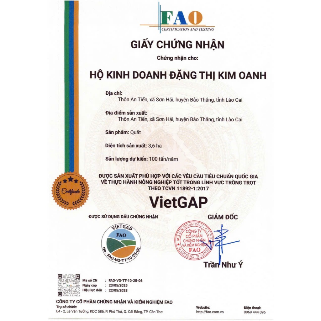 Hộp Quà Quất Gừng Mật Ong OCOP – Siro & Ô Mai Quất – Quà Biếu Lịch Sự