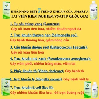 Combo Smart A hỗ trợ chăm sóc răng miệng, tai mũi, họng– Mua nhiều tiết kiệm, dùng lâu cho gia đình