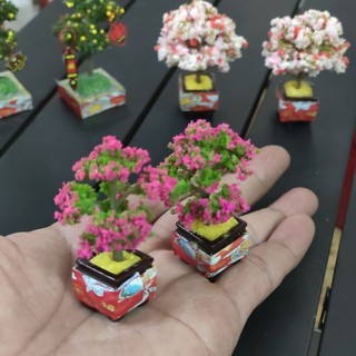 Chậu Tắc - Hoa Giấy Mini 6.5cm