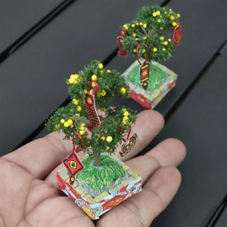 Chậu Tắc - Hoa Giấy Mini 6.5cm