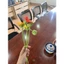Búp hoa đồng tiền kẽm nhung